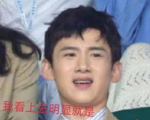 娱乐吃瓜君白敬亭,娱乐吃瓜界的“瓜王”